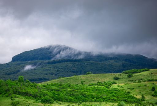 A closeup shot of a landscape with a hill with forest after rain