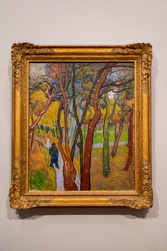 The beautiful artwork displayed at the Van Gogh Museum in Amsterdam