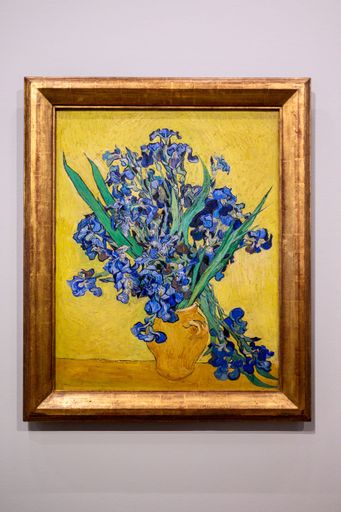 The beautiful artwork displayed at the Van Gogh Museum in Amsterdam
