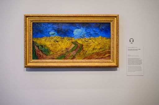 The beautiful artwork displayed at the Van Gogh Museum in Amsterdam