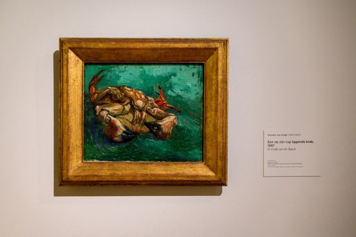 The beautiful artwork displayed at the Van Gogh Museum in Amsterdam