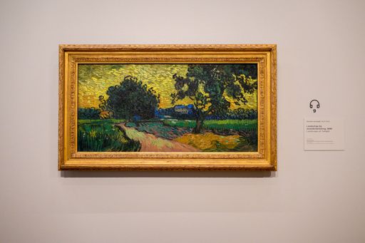 The beautiful artwork displayed at the Van Gogh Museum in Amsterdam