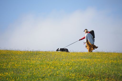 A woman hiking with a dog on a leash through a field of yellow flowers under a clear blue sky
