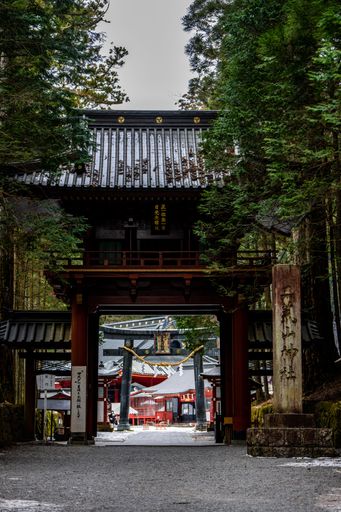 A traditional Japanese temple gate surrounded by tall trees leading to a shrine in Nikko, Japan