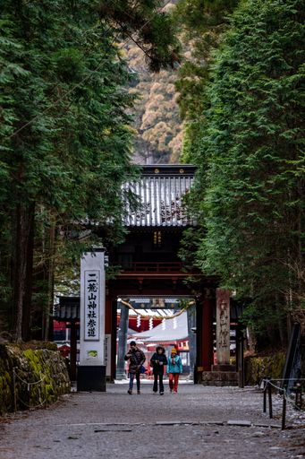 A traditional Japanese temple gate surrounded by tall trees leading to a shrine in Nikko, Japan