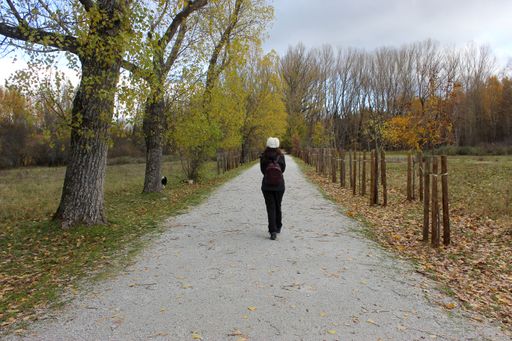 A beautiful autumn day in a park with a woman walking down a long path with trees on the sides