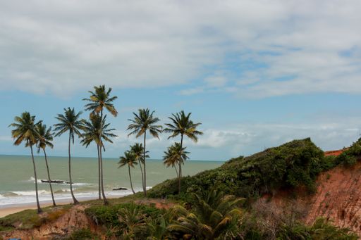 Tropical beach scene with palm trees on a cliff overlooking the ocean under a partly cloudy sky