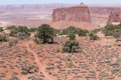 The beautiful view of rocks in Capitol Reef National Park. Utah, United States.