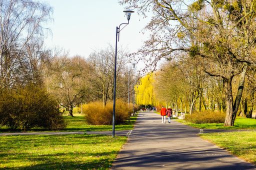 Footpath along green grass and trees with walking people in the Jan Pawla park on a sunny day in the winter.