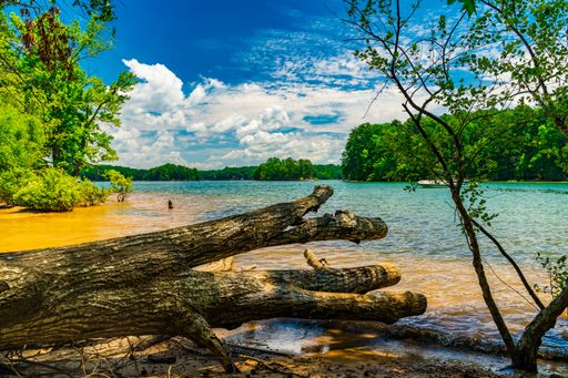 A scenic view of Little Ridge Park, Lake Lanier, Cumming, GA