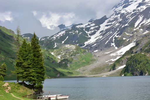 A serene mountain lake with snow-capped peaks and pine trees in the foreground