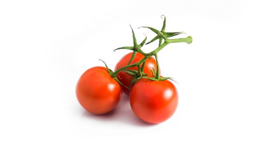 A closeup of three small tomatoes isolated on a white background