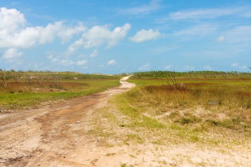 Sandy Dirt trail that starts on the Praia da Restinga and goes to Baia Formosa, in the State of Rio Grande do Norte in Brazil