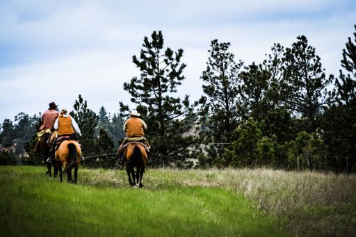 The three cowboys riding horses through a grassy field in Black Hills National Forest