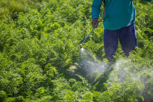Farmer spraying water or chemicals