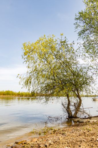 The blue sky over the river in spring