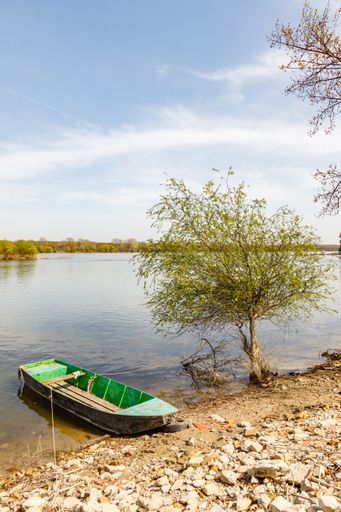 An old green boat on the riverside in summer