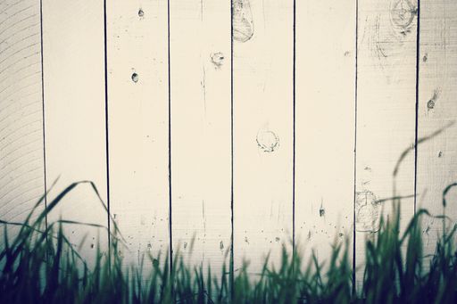 A white wooden fence with greenery on the bottom background or wallpaper with space for your text