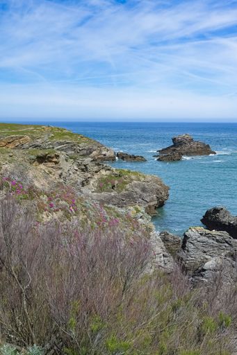 Scenic coastal view with rocky cliffs, wildflowers, and a clear blue sky over the ocean.