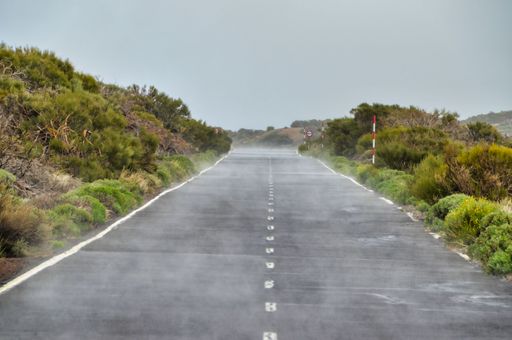 A shot of the asphalt-covered road surrounded by many trees during a gloomy day.