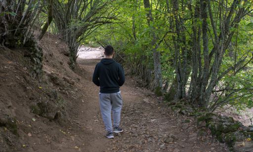 A person walking on a forest trail surrounded by green trees and a rocky path