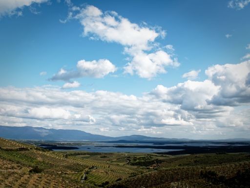 A scenic view of a lush green landscape with a lake and mountains under a partly cloudy sky on a sunny day