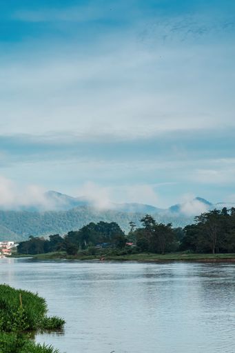 A river with lush greenery and mountains in the background under a clear blue sky