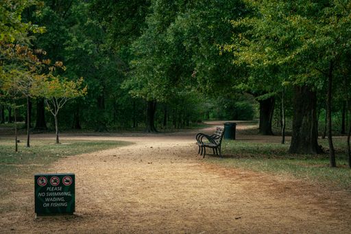 A tranquil park scene with a dirt path, benches, and lush green trees, featuring a sign prohibiting swimming, wading, or fishing.