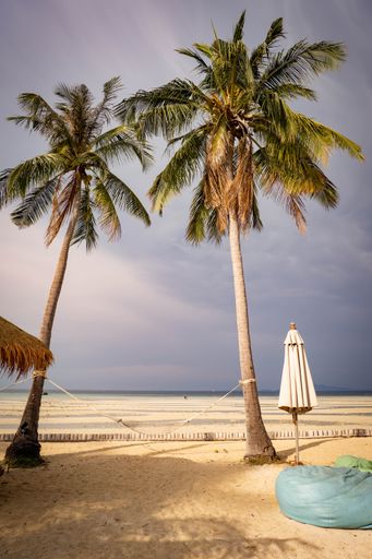 A vertical shot of swing tied between two coconut palm trees by the shore