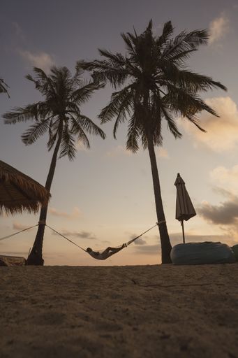 A vertical shot of swing tied between two coconut palm trees by the shore