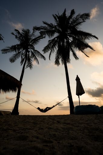 A vertical shot of a man resting under the palm trees on a seashore