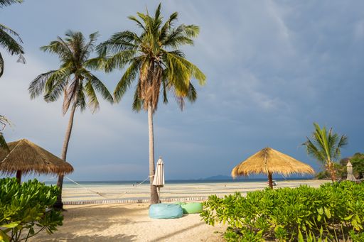 A vertical shot of swing tied between two coconut palm trees by the shore