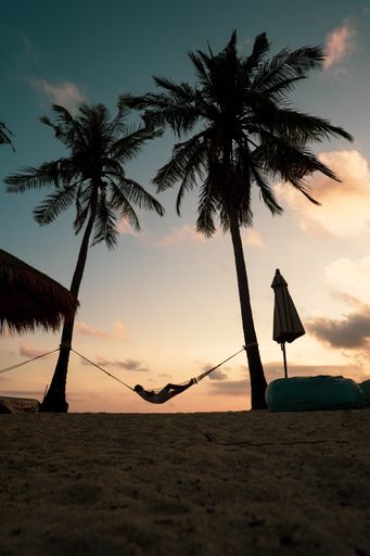 A vertical shot of a man resting under the palm trees on a seashore