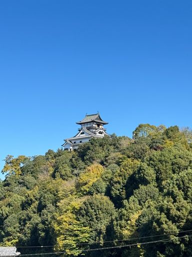 A scenic view of Inuyama Castle surrounded by lush greenery under a clear blue sky in Japan