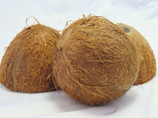 A close up of one coconut and two half of coconut on an isolated white background