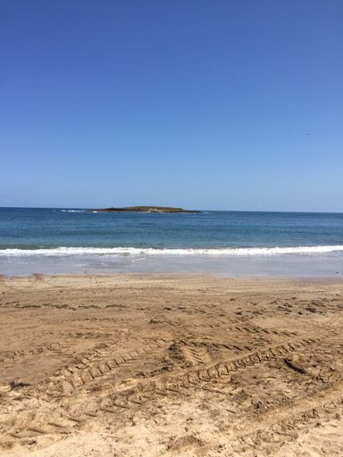 An empty beach under a clear blue sky with an islet in the distance
