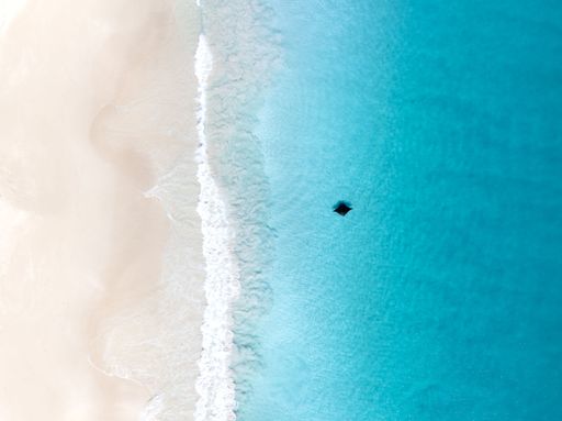 Aerial view of a manta ray swimming near the shore of a pristine white sandy beach with turquoise water..
