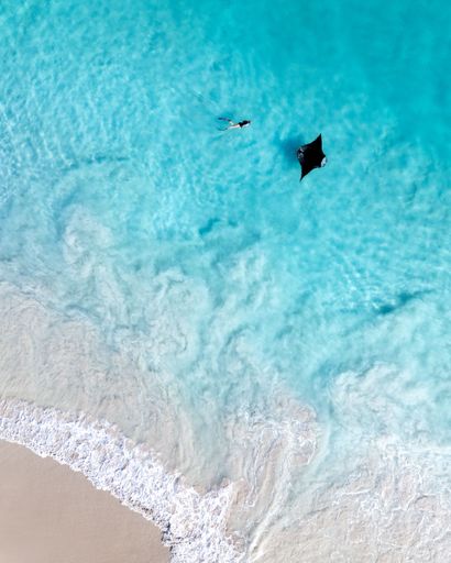Aerial view of a swimmer and a manta ray in clear turquoise water near a sandy beach.