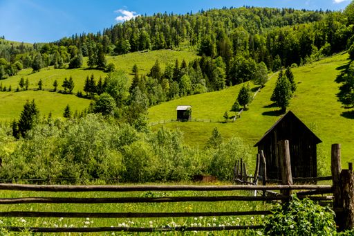 A scenic view of a lush green hillside with wooden fences and a small cabin under a clear blue sky in Rarau Mountain, Romania