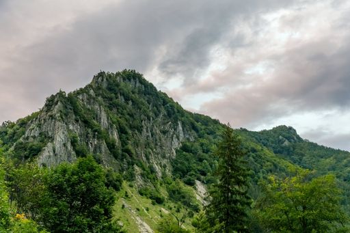 Scenic view of a lush green mountain under a cloudy sky in Vrancea Natural Park, Focsani, Romania