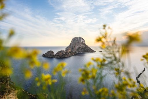 Beautiful island on the mediterranean coast with sunset in the background and flowers in the foreground