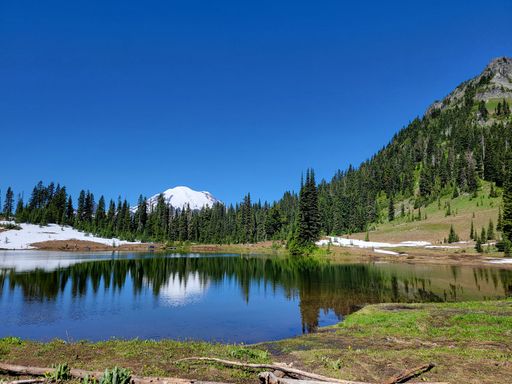 A scenic view of Mount Rainier reflected in Tipsoo Lake under a clear blue sky on a sunny day in Mount Rainier National Park, Washington State, USA