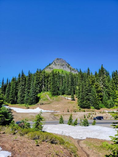 A vertical view of a mountain peak surrounded by evergreen trees under a clear blue sky on a sunny day in Mount Rainier National Park, Washington, USA