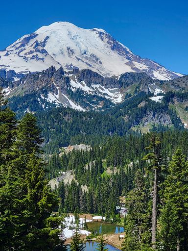 A vertical view of Mount Rainier with lush green forests under a clear blue sky on a sunny day in Mount Rainier National Park, Washington, USA