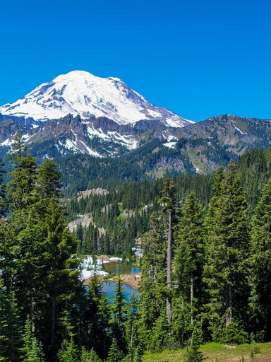 A vertical view of Mount Rainier with lush green forests under a blue sky on a sunny day in Mount Rainier National Park, Washington, USA