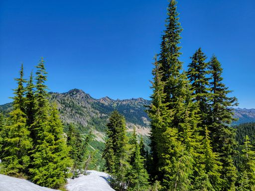 A picturesque view of a mountainous landscape with trees under a clear blue sky on a sunny day in Mount Rainier National Park, Washington, USA