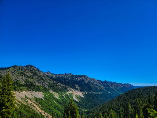 A mountainous landscape with trees under a clear blue sky on a sunny day near Tipsoo Lake in Mount Rainier National Park, Washington, USA