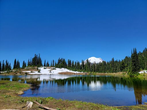 A landscape of Tipsoo Lake with Mount Rainier under a blue sky on a sunny day in Mount Rainier National Park, Washington, USA