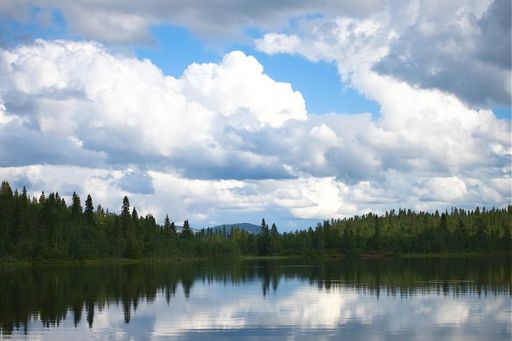 A mesmerizing landscape of green trees under a cloudy sky reflected in the lake