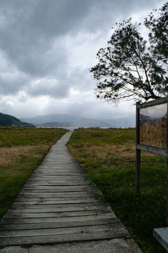 A vertical shot of a wooden path under the cloudy sky in Espasante, La Coruna, Spain